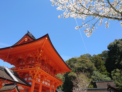 京都・上賀茂神社2024.JPG